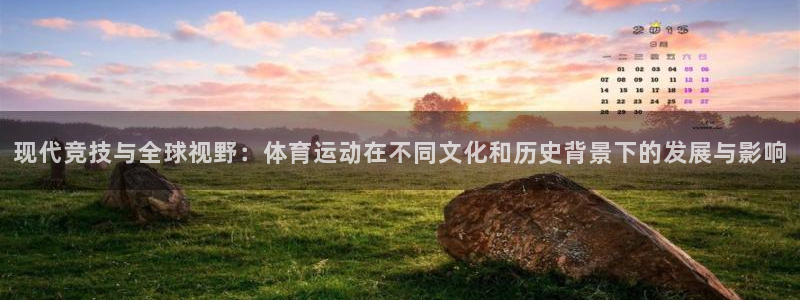 vsport体育官网下载平台注册流程视频:现代竞技与全球视野