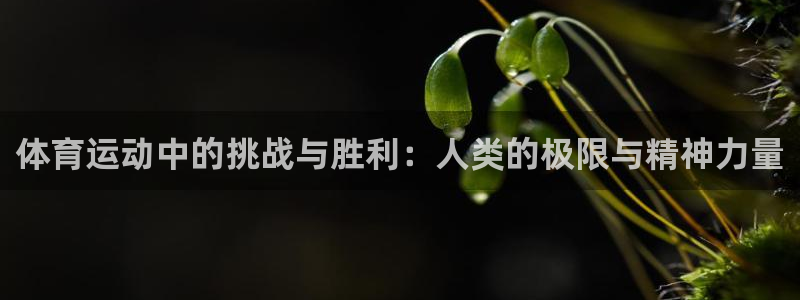 vsport体育官方正版app官网:体育运动中的挑战与胜利: