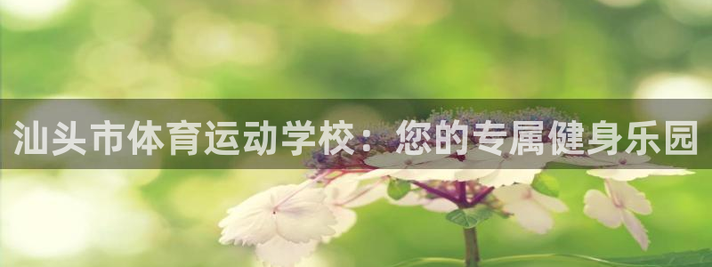 vsport体育官方正版app娱乐代理怎么样:汕头市体育运动